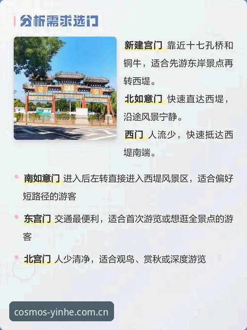 官方入口怎么选？老道人的选择实用避坑指南