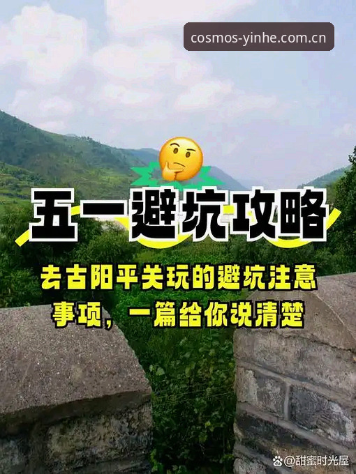 老道人的选择官方入口必备实用攻略——这5个避坑点老玩家都知道
